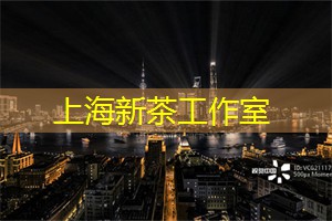 在大兴国际机场与上海的连结