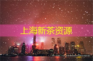 独特的故事：上海夜间博物馆